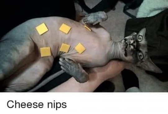 High Quality Cheese nips Blank Meme Template