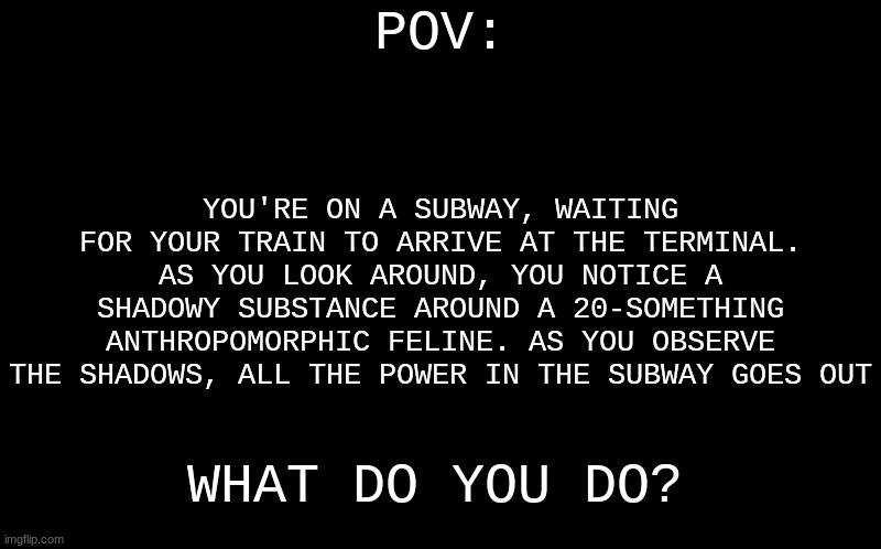 Pov: I make to many POV rp's | POV:; YOU'RE ON A SUBWAY, WAITING FOR YOUR TRAIN TO ARRIVE AT THE TERMINAL. AS YOU LOOK AROUND, YOU NOTICE A SHADOWY SUBSTANCE AROUND A 20-SOMETHING ANTHROPOMORPHIC FELINE. AS YOU OBSERVE THE SHADOWS, ALL THE POWER IN THE SUBWAY GOES OUT; WHAT DO YOU DO? | image tagged in black screen | made w/ Imgflip meme maker