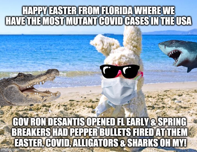 Easter in Florida 2021 | HAPPY EASTER FROM FLORIDA WHERE WE HAVE THE MOST MUTANT COVID CASES IN THE USA; GOV RON DESANTIS OPENED FL EARLY & SPRING 
BREAKERS HAD PEPPER BULLETS FIRED AT THEM 
EASTER, COVID, ALLIGATORS & SHARKS OH MY! | image tagged in florida,easter,covid 19,sharks,alligators,gov ron desantis | made w/ Imgflip meme maker