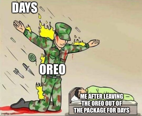 Soldier protecting sleeping child | DAYS; OREO; ME AFTER LEAVING THE OREO OUT OF THE PACKAGE FOR DAYS | image tagged in soldier protecting sleeping child | made w/ Imgflip meme maker