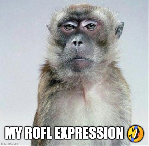 Blank face stare | MY ROFL EXPRESSION ? | image tagged in blank face stare | made w/ Imgflip meme maker