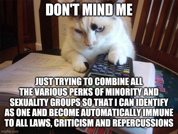 Math cat | DON'T MIND ME; JUST TRYING TO COMBINE ALL THE VARIOUS PERKS OF MINORITY AND SEXUALITY GROUPS SO THAT I CAN IDENTIFY AS ONE AND BECOME AUTOMATICALLY IMMUNE TO ALL LAWS, CRITICISM AND REPERCUSSIONS | image tagged in math cat | made w/ Imgflip meme maker