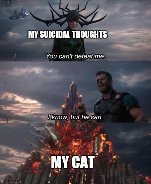 You can't defeat me | MY SUICIDAL THOUGHTS; MY CAT | image tagged in you can't defeat me | made w/ Imgflip meme maker