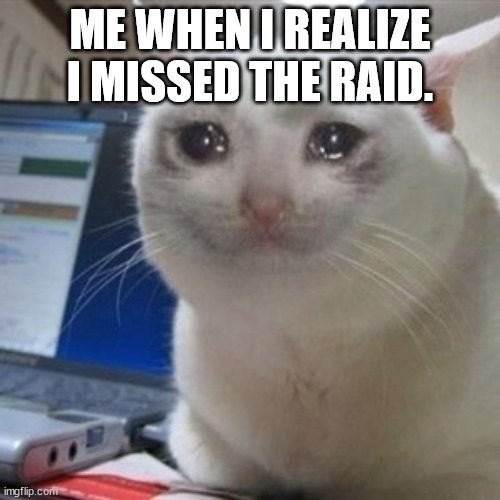 Crying cat | ME WHEN I REALIZE I MISSED THE RAID. | image tagged in crying cat | made w/ Imgflip meme maker