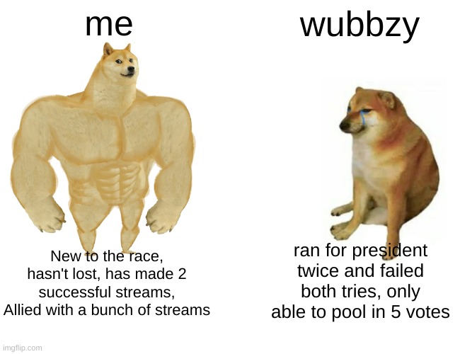 Buff Doge vs. Cheems Meme | me wubbzy New to the race, hasn't lost, has made 2 successful streams, Allied with a bunch of streams ran for president twice and failed bot | image tagged in memes,buff doge vs cheems | made w/ Imgflip meme maker
