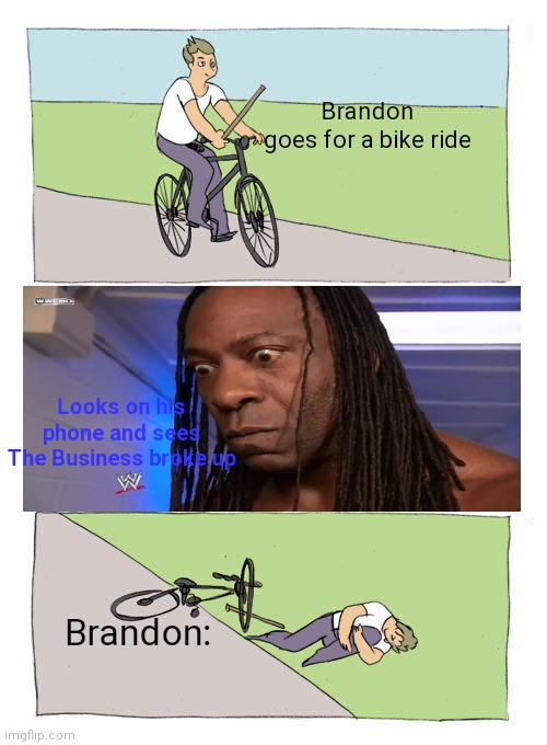 Bike Fall Meme | Brandon goes for a bike ride; Looks on his phone and sees The Business broke up; Brandon: | image tagged in memes,bike fall | made w/ Imgflip meme maker