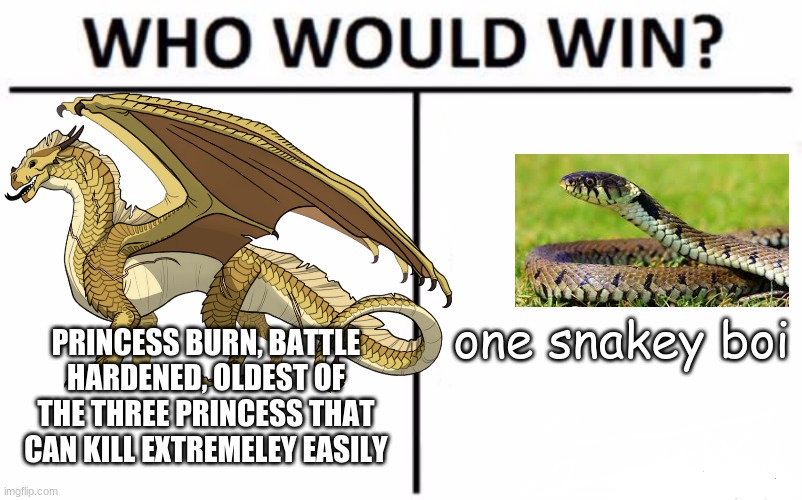 Funy | one snakey boi; PRINCESS BURN, BATTLE HARDENED, OLDEST OF THE THREE PRINCESS THAT CAN KILL EXTREMELEY EASILY | image tagged in wings of fire | made w/ Imgflip meme maker