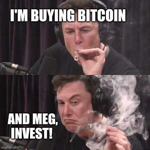 Elon Musk Weed | I'M BUYING BITCOIN AND MEG, INVEST! | image tagged in elon musk weed | made w/ Imgflip meme maker