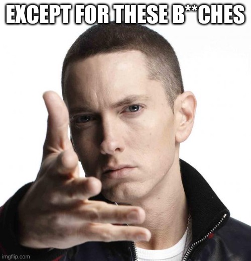 Eminem video game logic | EXCEPT FOR THESE B**CHES | image tagged in eminem video game logic | made w/ Imgflip meme maker