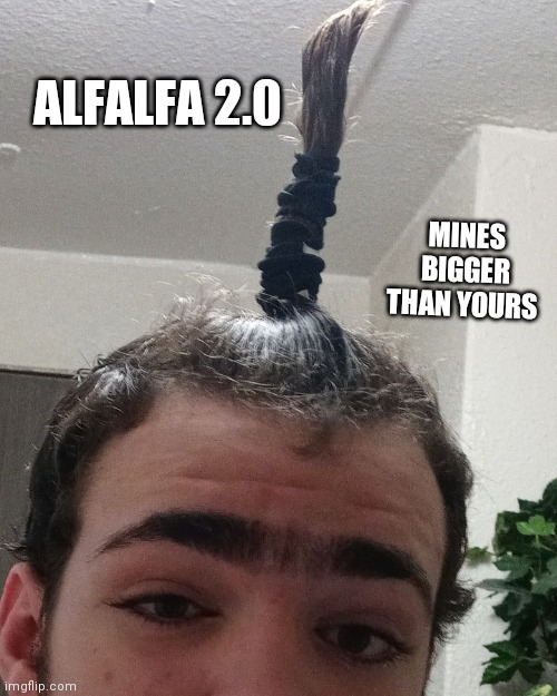 Alfalfa 2.0 | ALFALFA 2.0; MINES BIGGER THAN YOURS | image tagged in memes,funny,fun | made w/ Imgflip meme maker