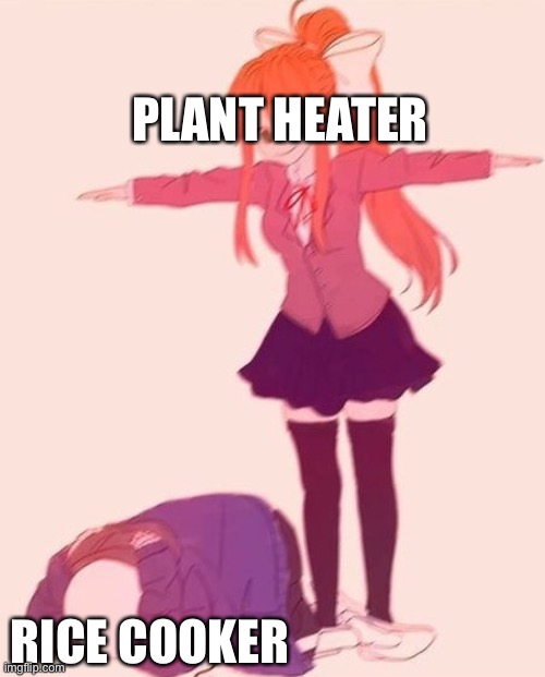 anime t pose | PLANT HEATER; RICE COOKER | image tagged in anime t pose | made w/ Imgflip meme maker