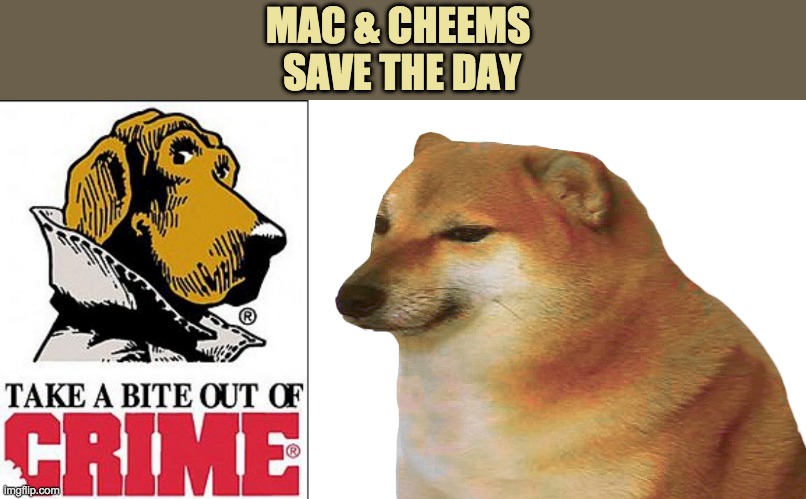 Stay tuned for their further adventures! | MAC & CHEEMS 
SAVE THE DAY | image tagged in cheems,dogs | made w/ Imgflip meme maker