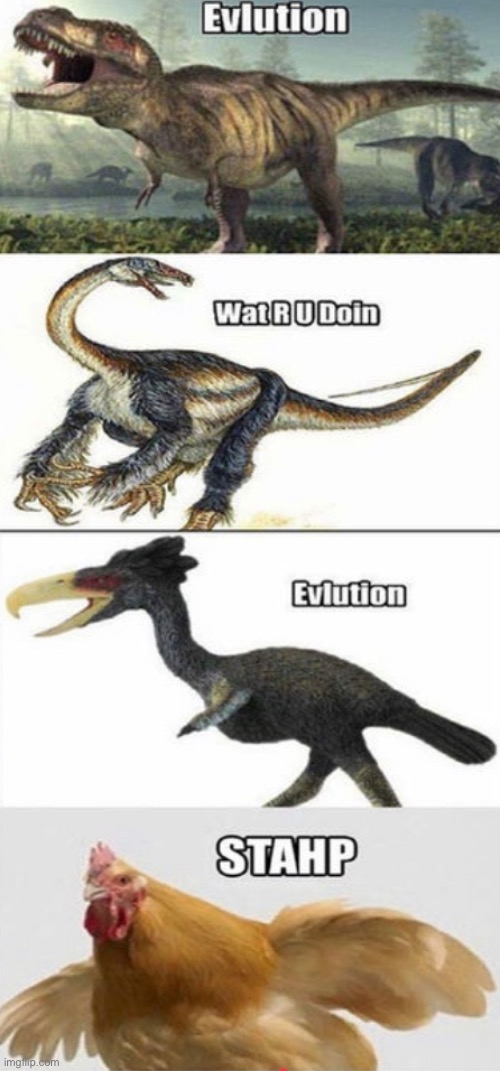 Evlution | image tagged in chicken,dinosaur | made w/ Imgflip meme maker