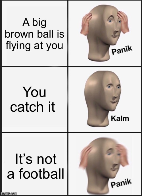 If you don’t get it look in comments | A big brown ball is flying at you; You catch it; It’s not a football | image tagged in memes,panik kalm panik | made w/ Imgflip meme maker