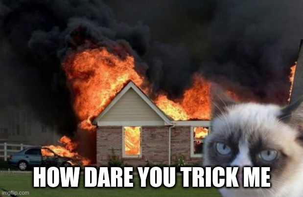Burn Kitty Meme | HOW DARE YOU TRICK ME | image tagged in memes,burn kitty,grumpy cat | made w/ Imgflip meme maker