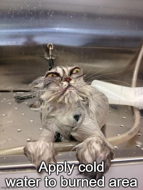 Angry Wet Cat | Apply cold water to burned area | image tagged in angry wet cat | made w/ Imgflip meme maker