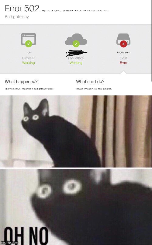 image tagged in oh no cat | made w/ Imgflip meme maker