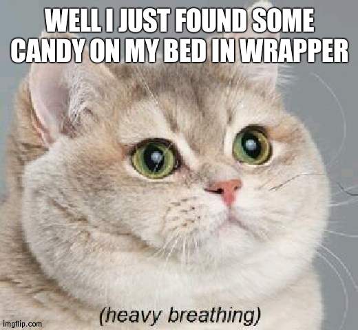 The big Starburst thinh | WELL I JUST FOUND SOME CANDY ON MY BED IN WRAPPER | image tagged in memes,heavy breathing cat,starburst | made w/ Imgflip meme maker
