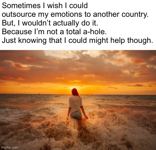 *sigh* | Sometimes I wish I could outsource my emotions to another country. But, I wouldn’t actually do it. Because I’m not a total a-hole.
Just knowing that I could might help though. | image tagged in memes,life | made w/ Imgflip meme maker