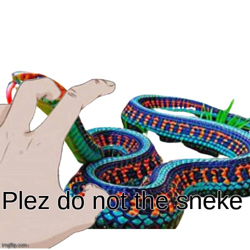 Plez do not the sneke | made w/ Imgflip meme maker