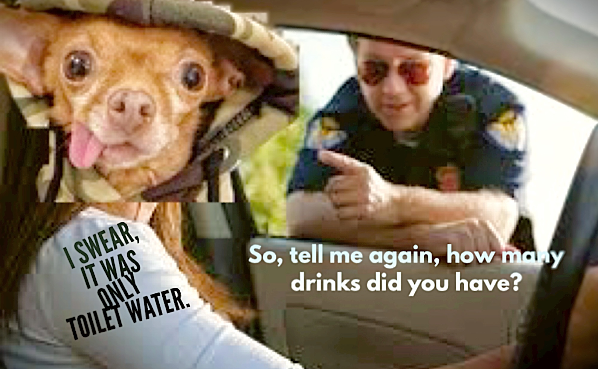 dogs and cops Blank Meme Template