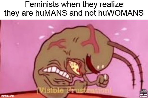 If you're able to read the text in the corner without the description, you have great eyesight | Feminists when they realize they are huMANS and not huWOMANS; THIS IS NOT MEANT TO OFFEND IN ANY WAY! | image tagged in visible frustration | made w/ Imgflip meme maker
