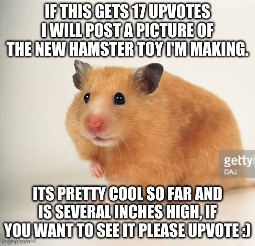 Please upvote for reveal as you speedly scroll down :) | IF THIS GETS 17 UPVOTES I WILL POST A PICTURE OF THE NEW HAMSTER TOY I'M MAKING. ITS PRETTY COOL SO FAR AND IS SEVERAL INCHES HIGH, IF YOU WANT TO SEE IT PLEASE UPVOTE :) | image tagged in upvote begging,hamster | made w/ Imgflip meme maker