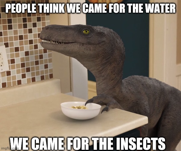 velociraptor | PEOPLE THINK WE CAME FOR THE WATER WE CAME FOR THE INSECTS | image tagged in velociraptor | made w/ Imgflip meme maker