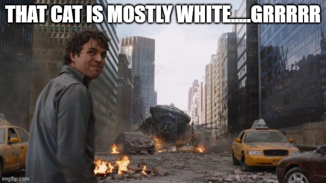 Hulk | THAT CAT IS MOSTLY WHITE.....GRRRRR | image tagged in hulk | made w/ Imgflip meme maker