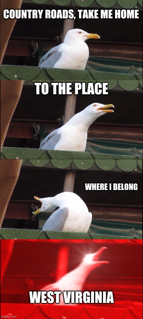 Inhaling Seagull | COUNTRY ROADS, TAKE ME HOME; TO THE PLACE; WHERE I BELONG; WEST VIRGINIA | image tagged in memes,inhaling seagull | made w/ Imgflip meme maker