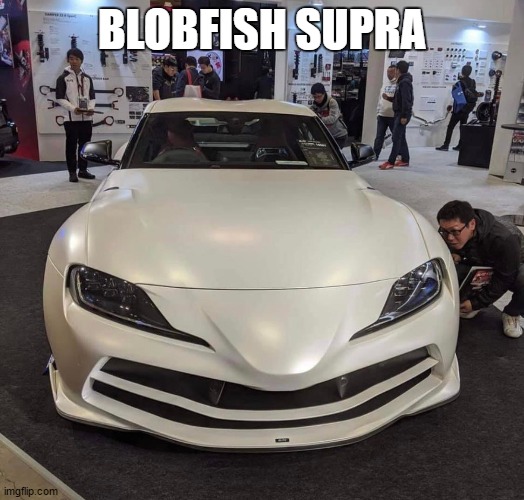 blobfish supra | BLOBFISH SUPRA | image tagged in blobfish,car,cars,vehicle | made w/ Imgflip meme maker