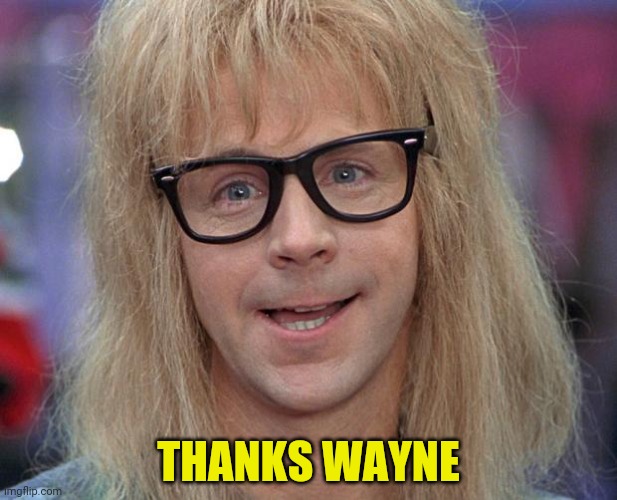 GARTH | THANKS WAYNE | image tagged in garth | made w/ Imgflip meme maker