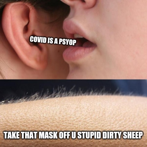 (Deep voice) HAVE YE NO GOD? OR IMMUNE SYSTEM? | COVID IS A PSYOP; TAKE THAT MASK OFF U STUPID DIRTY SHEEP | image tagged in whisper and goosebumps,covid-19,psyop,memes,funny | made w/ Imgflip meme maker