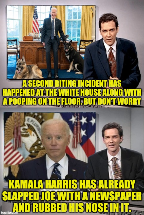 Bad Boy! Bad! | A SECOND BITING INCIDENT HAS HAPPENED AT THE WHITE HOUSE ALONG WITH A POOPING ON THE FLOOR. BUT DON'T WORRY; KAMALA HARRIS HAS ALREADY SLAPPED JOE WITH A NEWSPAPER AND RUBBED HIS NOSE IN IT. | image tagged in joe biden,traitor,election fraud,trump 2020 | made w/ Imgflip meme maker