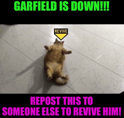 Garfield died from chonks | GARFIELD IS DOWN!!! REPOST THIS TO SOMEONE ELSE TO REVIVE HIM! | made w/ Imgflip meme maker
