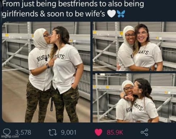 who's happy for them? | image tagged in lesbians,lesbian,wives,girlfriend,kiss,love is love | made w/ Imgflip meme maker