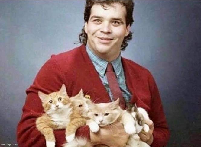Weirdo with cats | image tagged in weirdo with cats | made w/ Imgflip meme maker