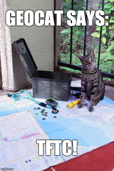 GEOCAT SAYS: TFTC! | image tagged in geocat | made w/ Imgflip meme maker