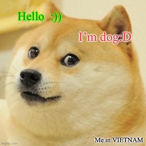 Haha | Hello  :)); I’m dog:D; Me in VIETNAM | image tagged in memes,doge | made w/ Imgflip meme maker
