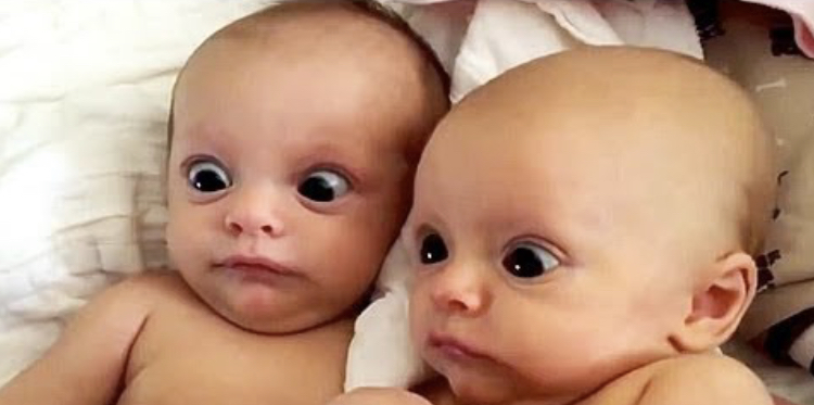 Surprised babies Blank Meme Template