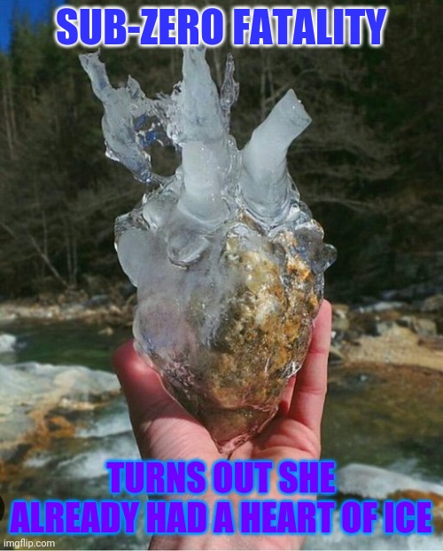 Woman's heart | SUB-ZERO FATALITY; TURNS OUT SHE ALREADY HAD A HEART OF ICE | image tagged in cold hearted,sub-zero,fatality,ice queen,ex gf,bitterness | made w/ Imgflip meme maker