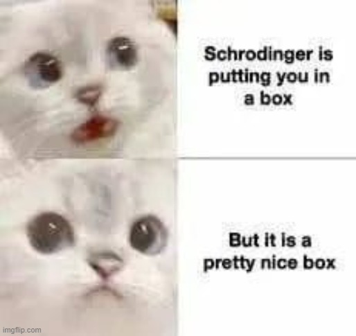 philosocat | image tagged in philosophy,cat,hotline bling,repost,cats,box | made w/ Imgflip meme maker
