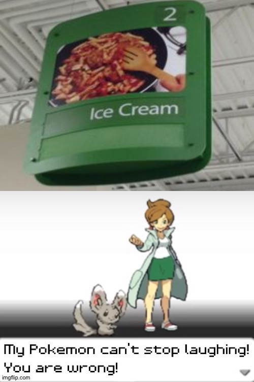 This isn't ice cream | image tagged in my pokemon can't stop laughing you are wrong,memes,funny,you had one job,task failed,ice cream | made w/ Imgflip meme maker