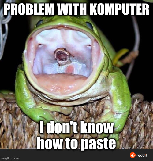 image-tagged-in-snake-in-frog-mouth-imgflip