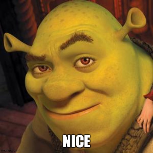 Shrek Sexy Face | NICE | image tagged in shrek sexy face | made w/ Imgflip meme maker