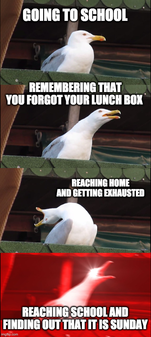 Forgotten days | GOING TO SCHOOL; REMEMBERING THAT YOU FORGOT YOUR LUNCH BOX; REACHING HOME AND GETTING EXHAUSTED; REACHING SCHOOL AND FINDING OUT THAT IT IS SUNDAY | image tagged in memes,inhaling seagull | made w/ Imgflip meme maker