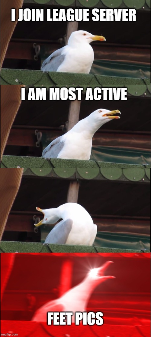 Inhaling Seagull | I JOIN LEAGUE SERVER; I AM MOST ACTIVE; FEET PICS | image tagged in memes,inhaling seagull | made w/ Imgflip meme maker