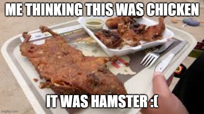 I thought i was eating Chicken | ME THINKING THIS WAS CHICKEN; IT WAS HAMSTER :( | image tagged in hamster | made w/ Imgflip meme maker