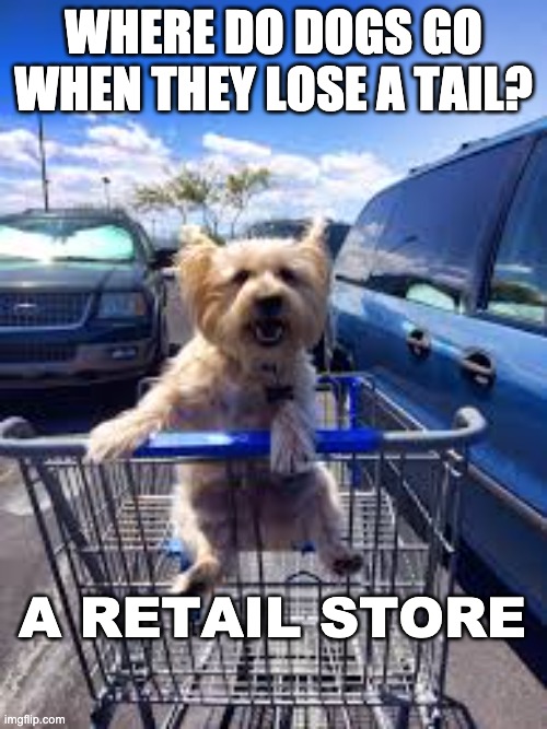 Dog shopping cart | WHERE DO DOGS GO WHEN THEY LOSE A TAIL? A RETAIL STORE | image tagged in dog shopping cart,dog puns,bad pun dog,bad pun,cute dogs | made w/ Imgflip meme maker