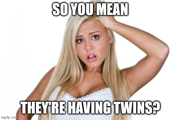 Dumb Blonde | SO YOU MEAN THEY'RE HAVING TWINS? | image tagged in dumb blonde | made w/ Imgflip meme maker